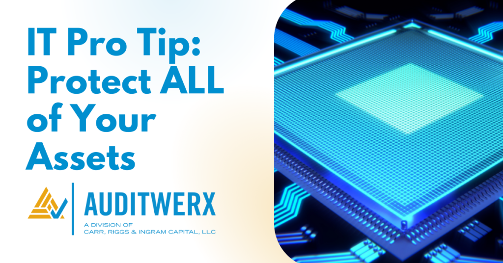 Auditwerx Blog IT Pro Tip Protect ALL of Your Assets